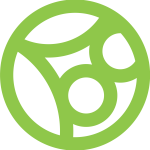bincom logo ion